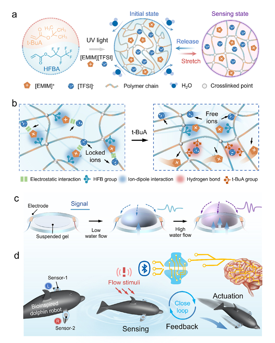 超分子耦合增強型離子皮膚用于水下傳感與機器人_離子液體應用【默尼離子液體】